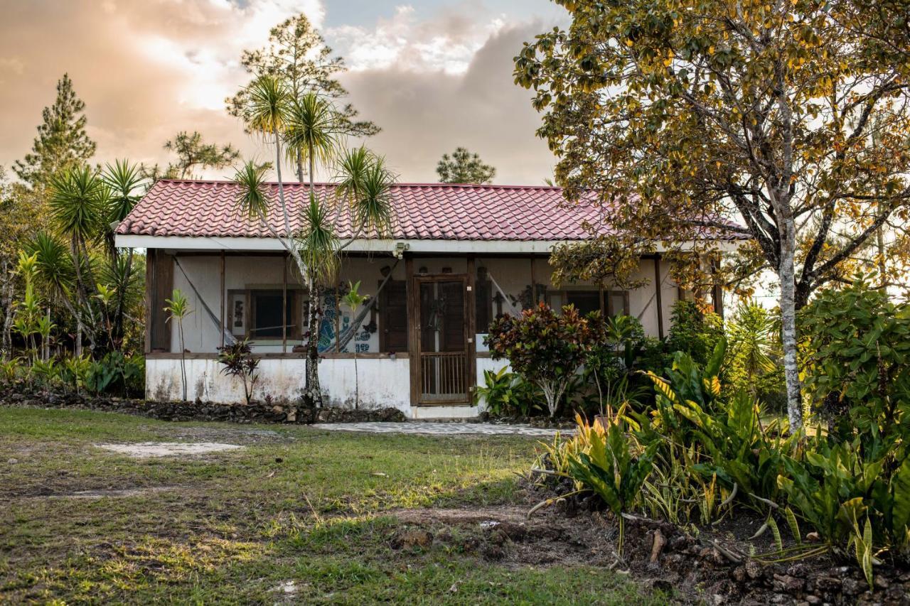Pine Ridge Lodge سان إجناسيو المظهر الخارجي الصورة