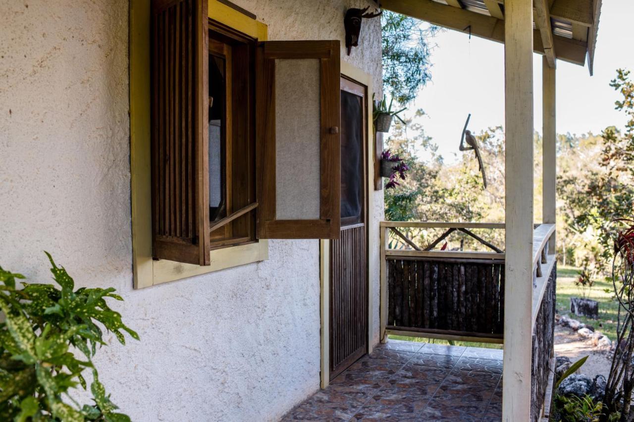 Pine Ridge Lodge سان إجناسيو المظهر الخارجي الصورة