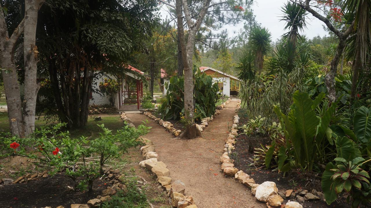 Pine Ridge Lodge سان إجناسيو المظهر الخارجي الصورة